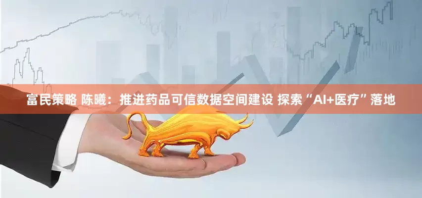富民策略 陈曦：推进药品可信数据空间建设 探索“AI+医疗”落地